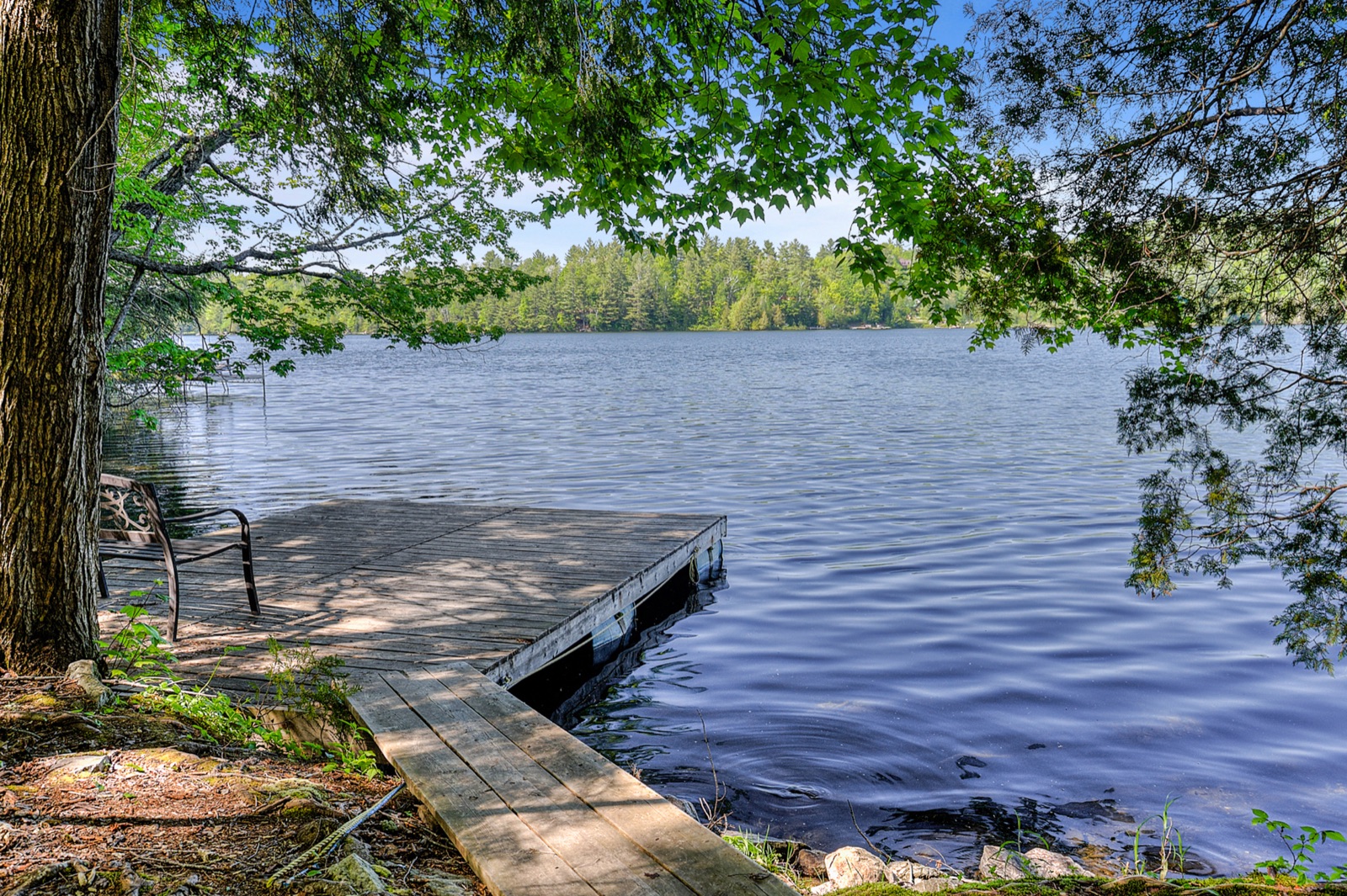 Quai et eau calme du lac Nick bordé d'arbres
