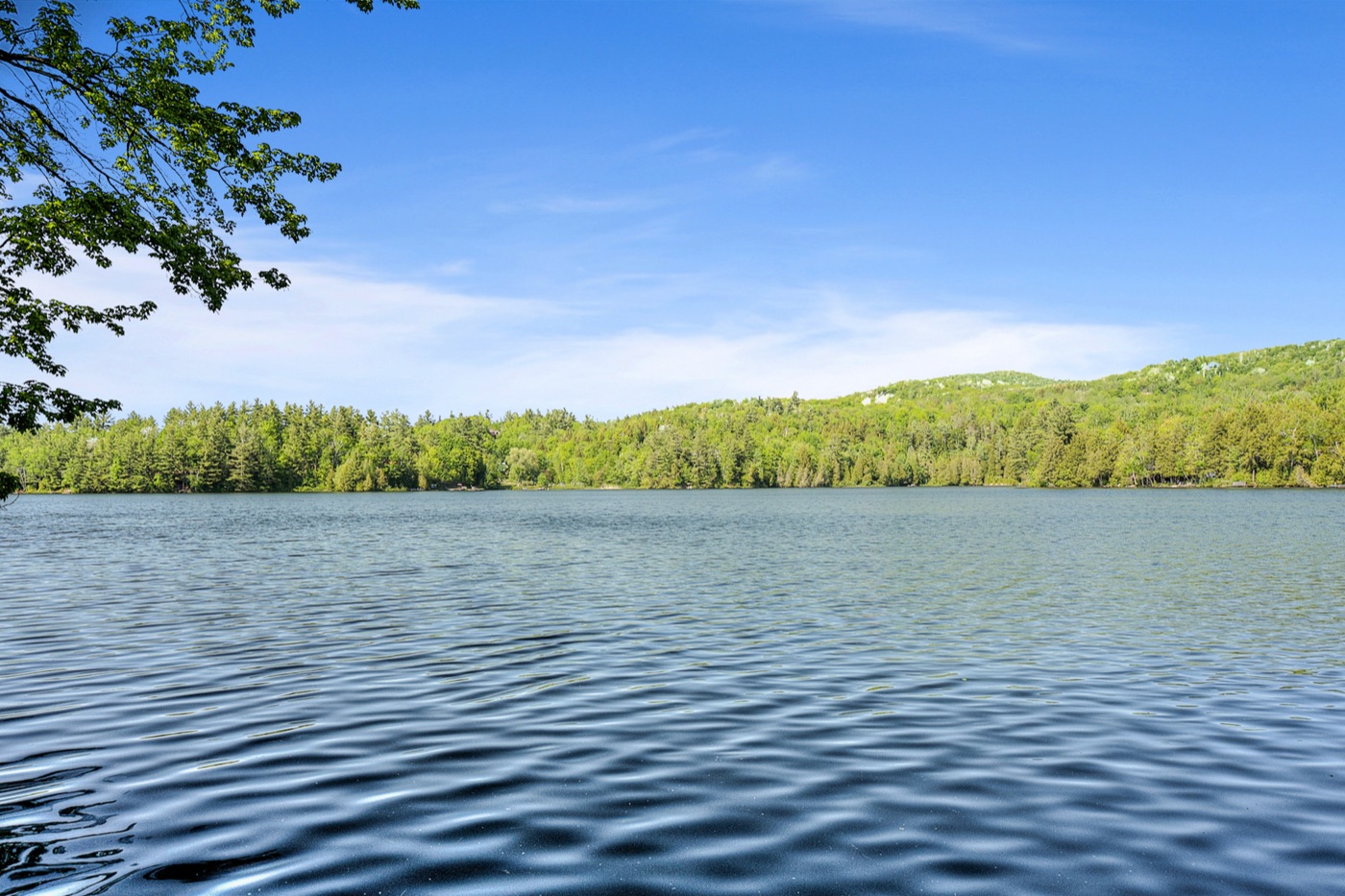 Le lac Nick, bordé de forêt